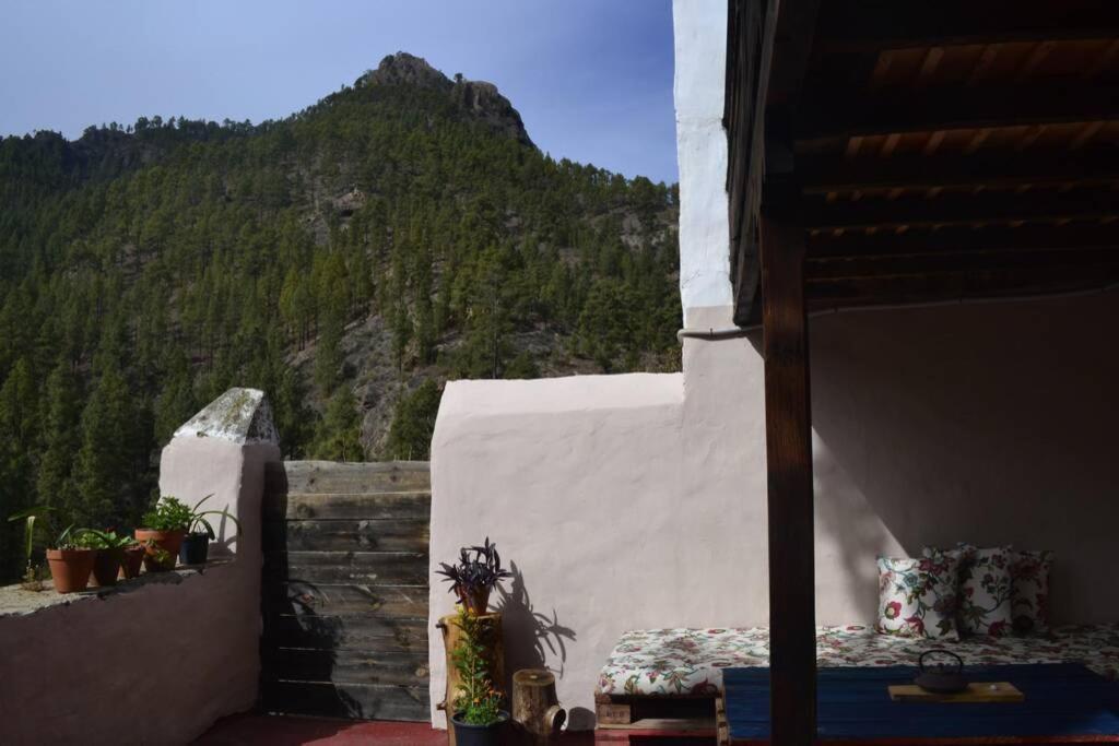 Casa Rural Lomito Del Pino Крус-де-Техеда Экстерьер фото