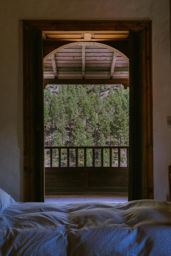 Casa Rural Lomito Del Pino Крус-де-Техеда Экстерьер фото